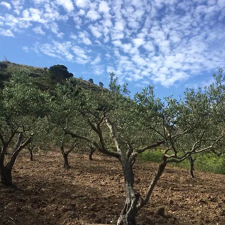 Casebianche Montallegro