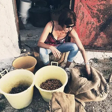 Casebianche Montallegro