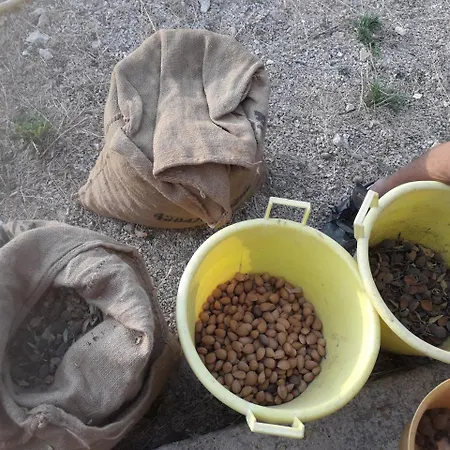 Casebianche Farmház *